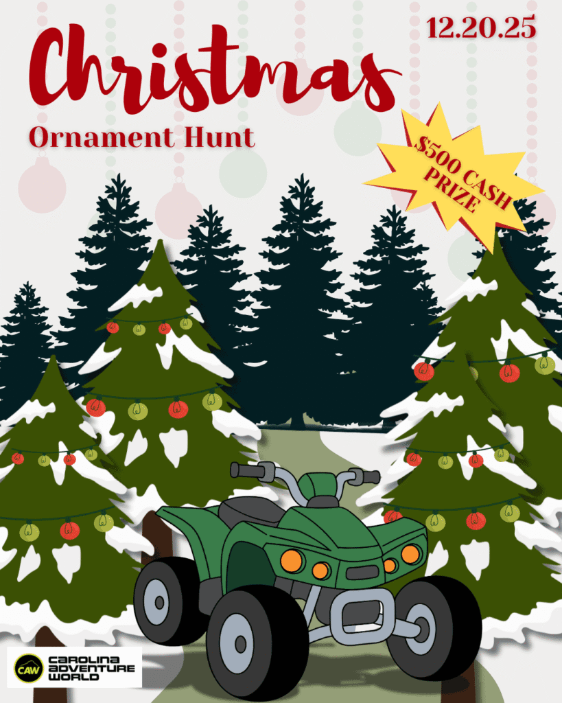 Christmas Ornament Hunt