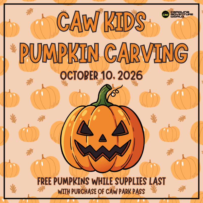 CAW Kids Pumpkin Carving